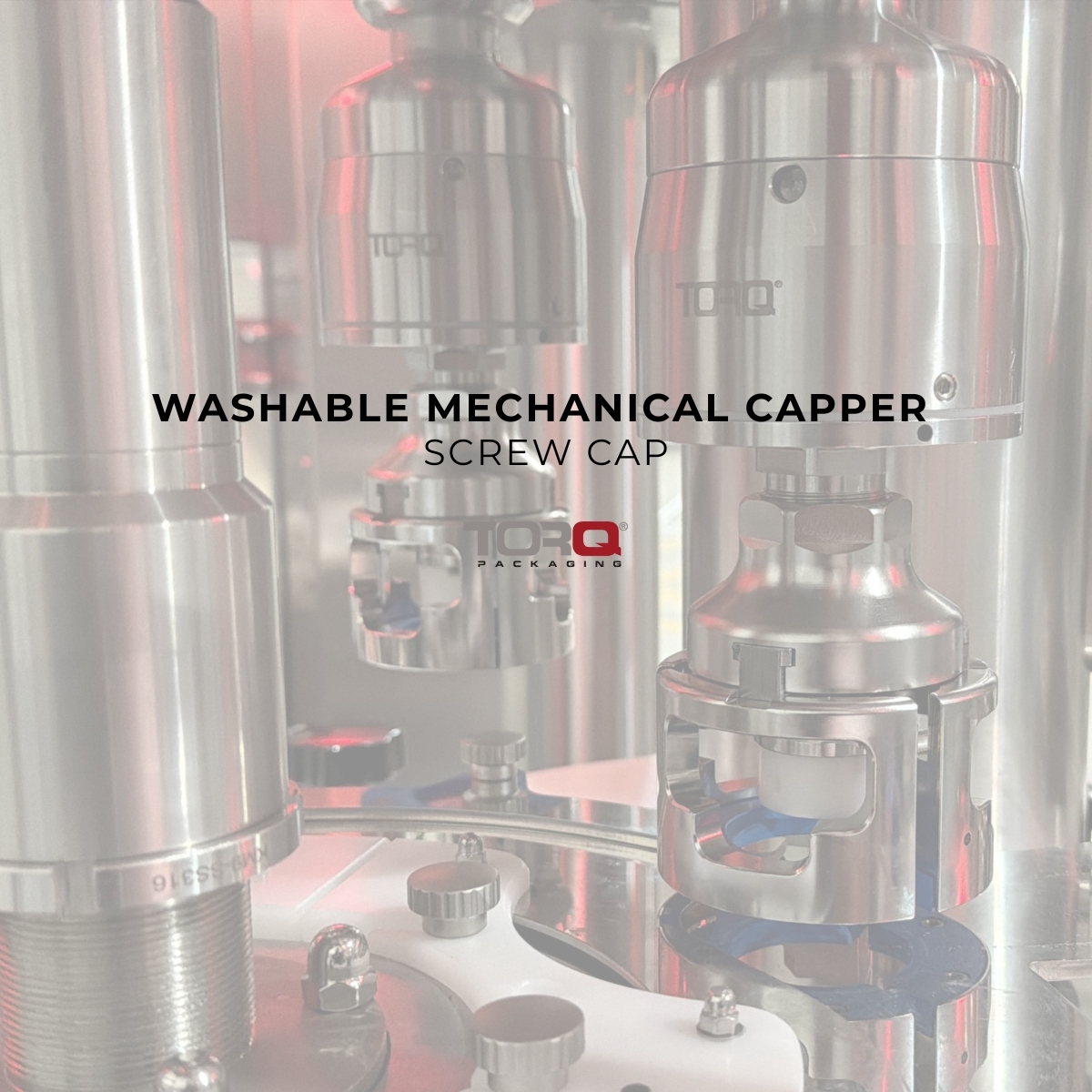 IMMAGINI DA LAVORARE 1200 x 1200 px 3